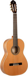 Ortega Guitars R20GRG