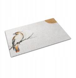 Coloray Lábtörlő csúszásgátló lábtörlő madár ágon grafikával, 60x40 cm-es méretben (010650710010000077714)