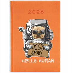 FunnyCase Könyvnaptár 2026 Hello Human Narancssárga Tervező Ajándék Minták (Kalendarz Pomarańczowy HELLO HUMAN)