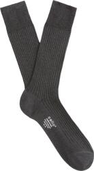 CELIO Jiunecosse (1042621)