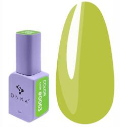 DNKa Hibrid Körömlakk Color Code #0063 12 ml (GPDC0063)