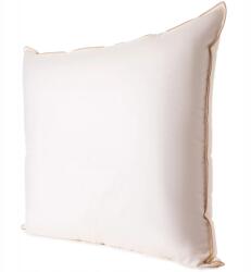 PaemiHome Pillow 50X70 cm Természetes Fehér Lúdtoll Töltetű Párna Lengyel (Poduszka Puchowa 50x70)