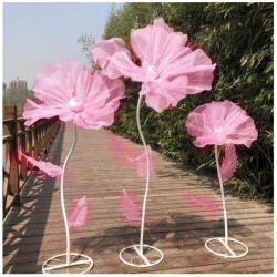 Crioflowers Floare gigant Roz