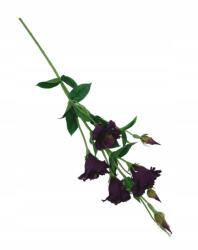 Top Gift Eustoma ág 80 cm sötét lila művirág (SUN345#1279)