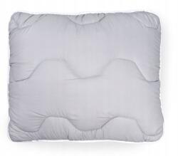 Textom 2 Db Párna Alváshoz 50X60CM Puha, Dús, Antiallergén Lengyel Termék (2xPoduszka Szara Verme 50x60)