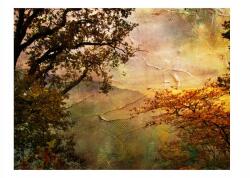 DecoNest Fotótapéta Festett ősz 250X193 (A0-XLFTNT0997)