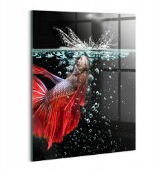 Wallfluent Fotó Üveg Kép Falra Irodába Dekorációs Akváriumos Hal 60x80 (010010010230100074936)