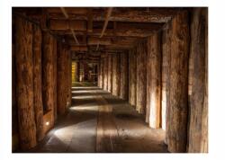 DecoNest Fotótapéta Fa átjáró 300X231 (5904058137600)