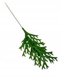 Wera Hínár adalék 53 cm (Z643)