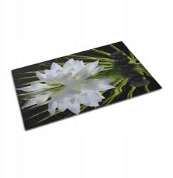 Coloray Szőnyeg ajtó elé házba lakásba irodába szobába Vízililiom Mintás Méret 60x40 (010650710010000077486)