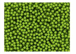 DecoNest Fotótapéta Teniszlabdák (háttér) 250X193 (A0-XLFTNT1444)