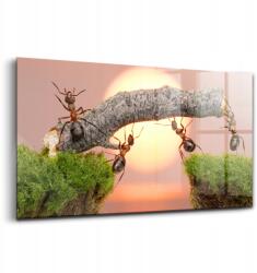 Wallfluent Üveg dekoráció Hangyák fatörzsön 140x70 cm (010010010100100075276)