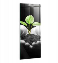 Wallfluent Fotó-Kép Dekoráció Lakberendezés Előszobába Növény a kezekben (010010010180100075015)