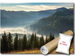 WallMagic Fotótapéta Flizelina Hegyek Erdő Köd Tájkép Kilátás 250x175 ragasztó ingyen (14537VX5)