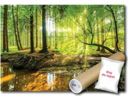 WallMagic Fotótapéta Flizelina Erdő Nap Kilátás Fa Patak 200x140 ragasztó ingyen (10513VX4)