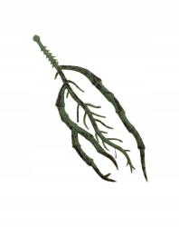 Wera Orchideatartó 12 cm zöld (KDGK86)