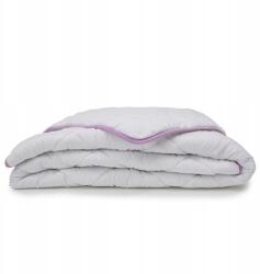 IndygoSklep. pl Allergiamentes Paplan 200x240 Pamut Huzat HB1 (antyalergiczna Hollow, poszycie bawełna)