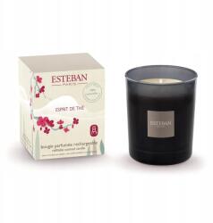 Estéban Paris Illatgyertya 180 g Esprit de The illat (THE-069)