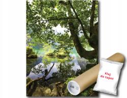 Consalnet Fotótapéta Erdő Tó Fa 19A Panxl 206x275 F3457 (3457VEA)