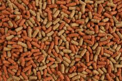 Glopex Teknős Eledel Turtle MIX Glopex 100G