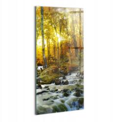 Wallfluent Üveg Fali Fotókép Könnyű Szerelés Konyhába Őszi erdő 60x120 (010010010200100074955)