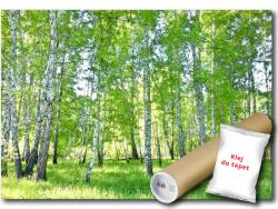 WallMagic Fotótapéta Flizelina Erdő Park Nyírfák Kilátás 100x75 ragasztó ingyen (14182VX2)