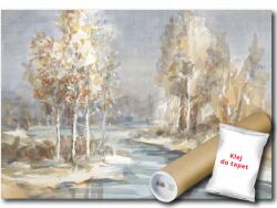Consalnet Fotótapéta Flizelina Nyírfák Folyó Patak 250x175 ragasztó ingyen (14443VX5)