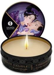 Shunga Mini Caress, 30 ml