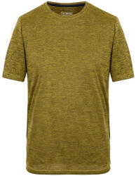 Regatta Fingal Edition férfi póló XL / arany