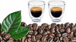 Del Caffe Set 2 pahare termice cu pereti dubli ESPRESSO 80 DelCaffe 80ml (espress80) Pahar