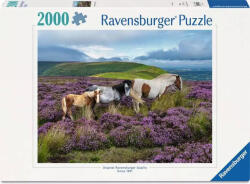 Ravensburger Puzzle Ravensburger din 2000 piese - Cai sălbatici în câmpie (12001751) Puzzle