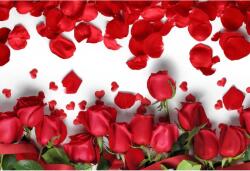 MÉDIA Vászon festmény, MÉDIA, Rózsa szirmok, 45 x 30 cm (TABIMG12540)