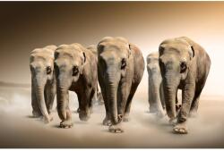 Blueback MAT Elefántcsorda tapéta, 200 x 150 cm (BBIMG6773)