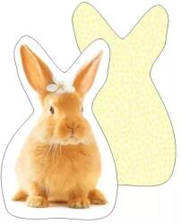 Carbotex Nyuszi mintás formapárna (KSZ221067-POD) - jatekbolt