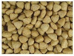 Josera JosiCat Crispy Duck 10 kg - SÉRÜLT CSOMAGOLÁS