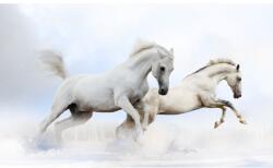 MÉDIA Vászonkép, MÉDIA, Cai1, 75 x 50 cm (TABIMG10796)