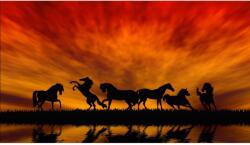 MÉDIA Vászonfestmény, MÉDIA, Lovak naplementében, 75 x 50 cm (TABIMG12051)