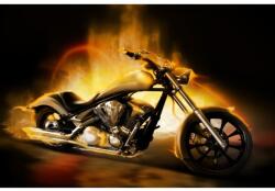 Blueback MAT Motoros tapéta, vintage, 250 x 200 cm (BBIMG6892)