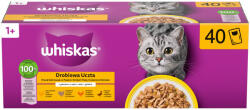 Whiskas macska tasak MP szárnyas válogatás 40x85g