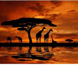 Blueback MAT Zsiráf tapéta, sunset2, 300 x 250 cm (BBIMG7063)