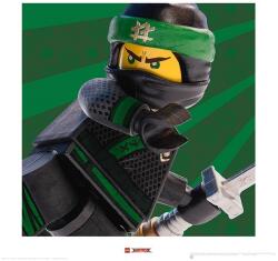 LEGO Арт принт Lego - Ninjago, Lloyd (PPR45750)