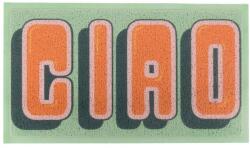 Artsy Mats Covoraș de intrare din PVC 40x70 cm Ciao - Artsy Doormats Pres