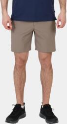 Fjallraven Abisko Trail Stretch Shorts M D