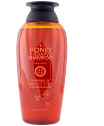Daeng Gi Meo Ri Professional Honey Therapy PLUS Shampoo - Mézes Sampon 250ml
