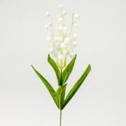  Szálas gyöngyvirág