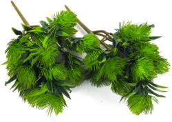  Protea csokor sötétzöld 2db/csomag - csinaldmagadshop