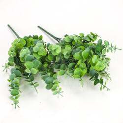  Eukaliptusz bokor hamvas zöld 2db/csomag - csinaldmagadshop