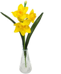  Szálas nárcisz 3 fejes sárga