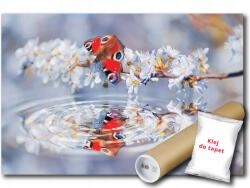 WallMagic Fotótapéta Flizelina Pillangó Rovar Víz Tükröződés Virágok 152x104 Kiárusítás (013VEL)