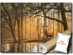 WallMagic Fotótapéta Flizelina Erdő Fák Szarvas Ősz Természet 200x140 ragasztó ingyen (14520VX4)